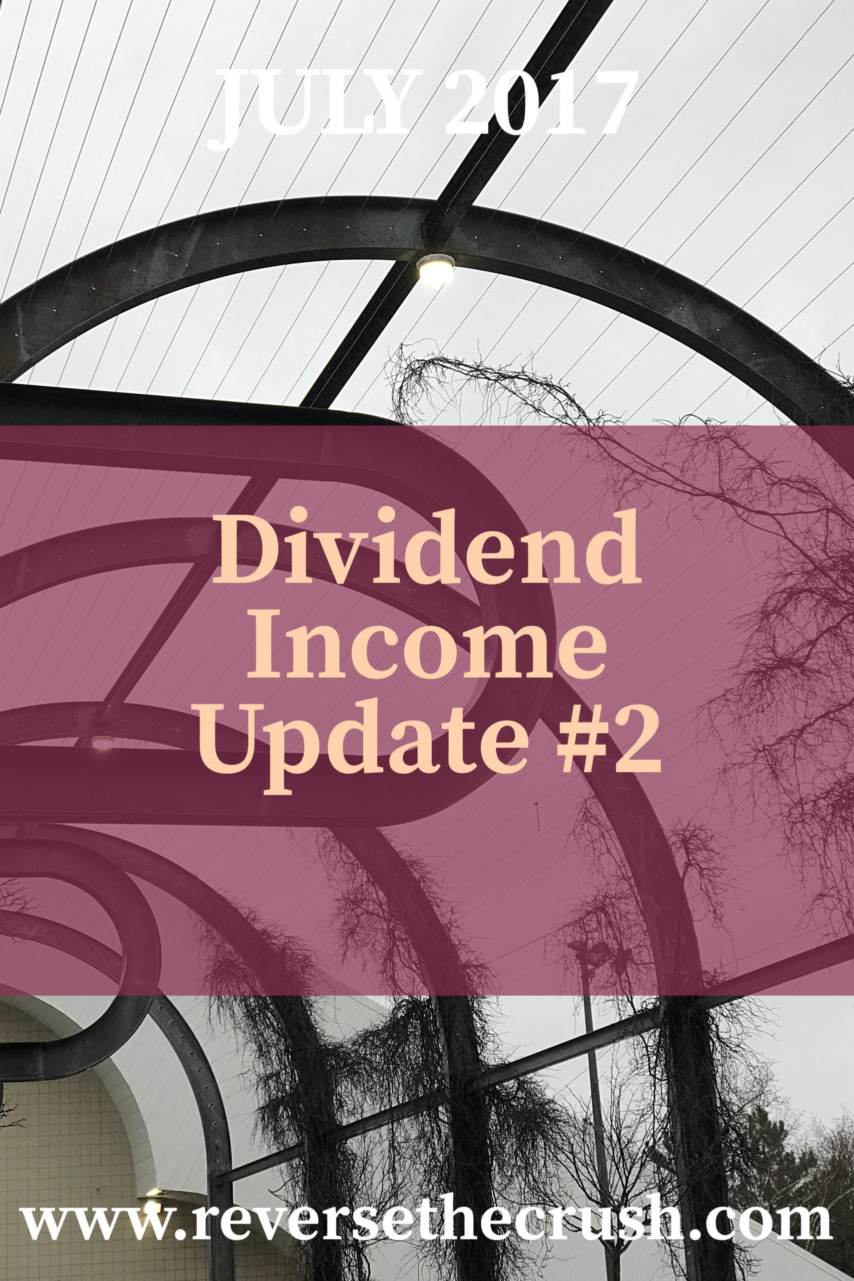 Dividend earnings update 2 July 2017 Dividend Investor