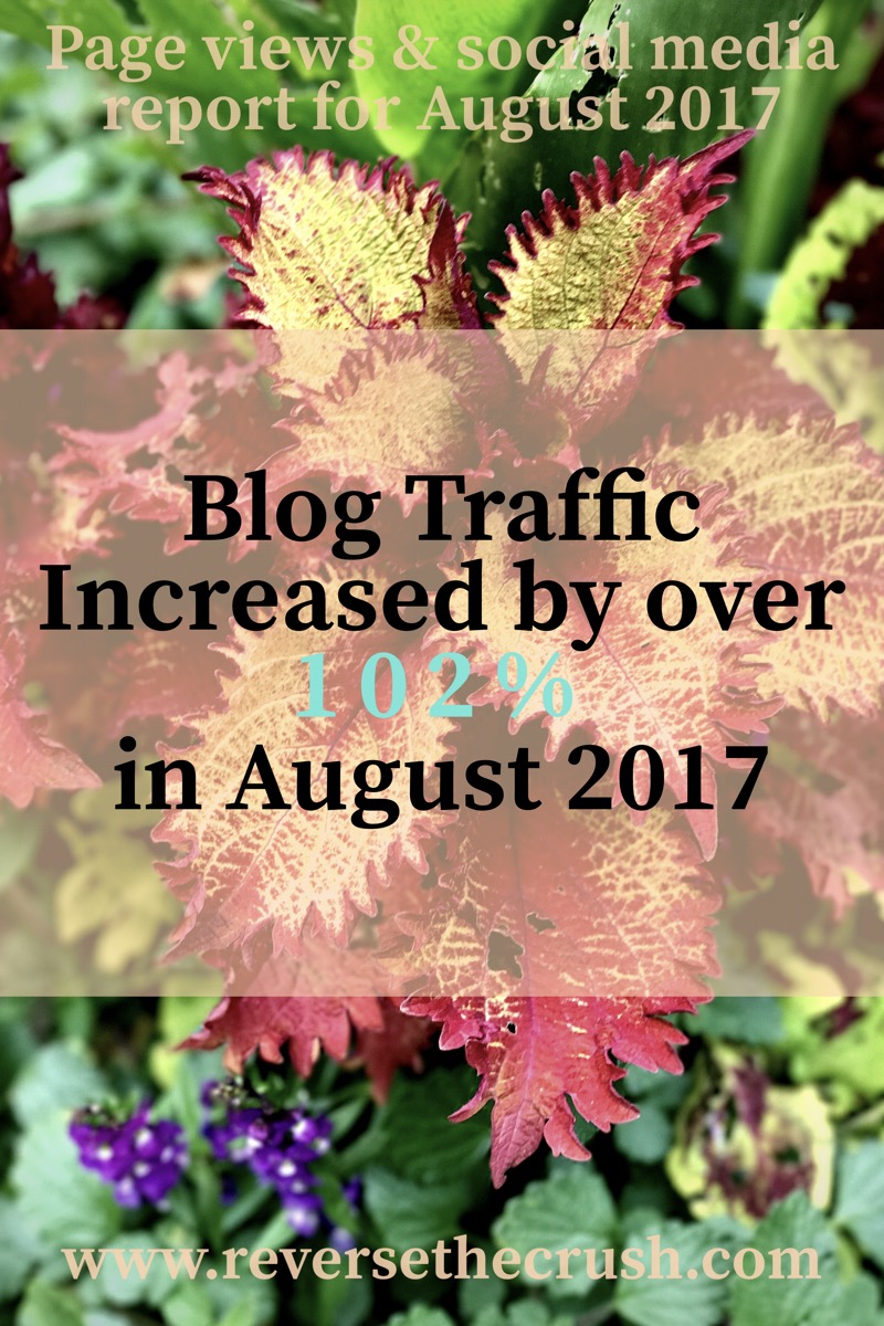 blog traffic increased